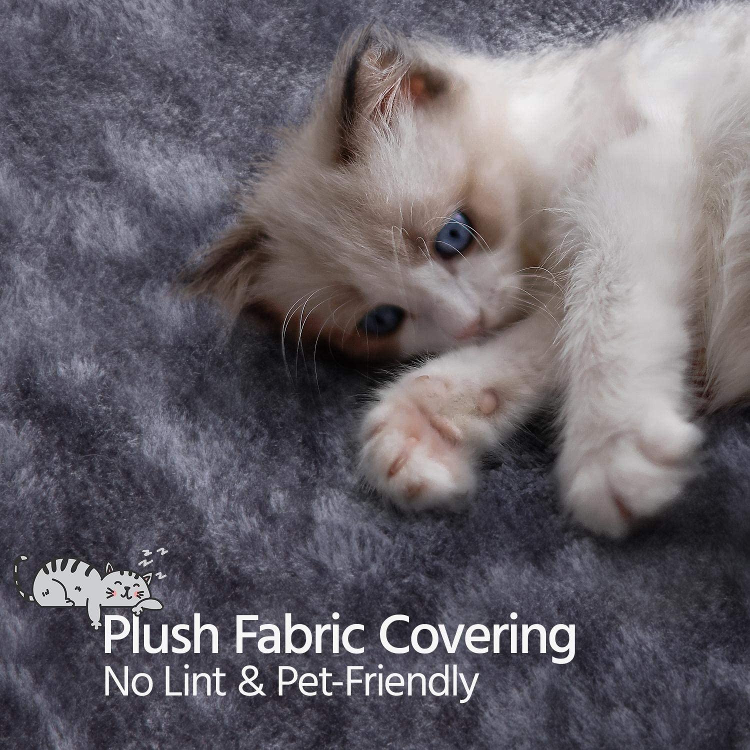 Modern Luxury Cat Climbing Fra - Sustainable Living House 리뷰 및 가격